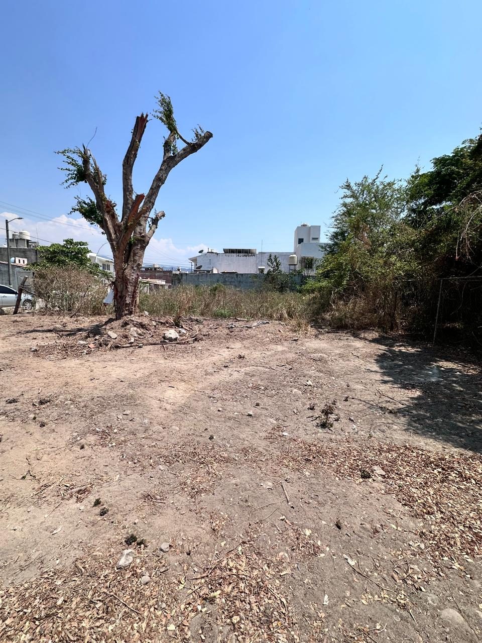 Terreno avaluado